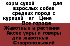 корм сухой pro plan для взрослых собак средних пород с курицей 14кг › Цена ­ 2 835 - Все города Животные и растения » Аксесcуары и товары для животных   . Ставропольский край